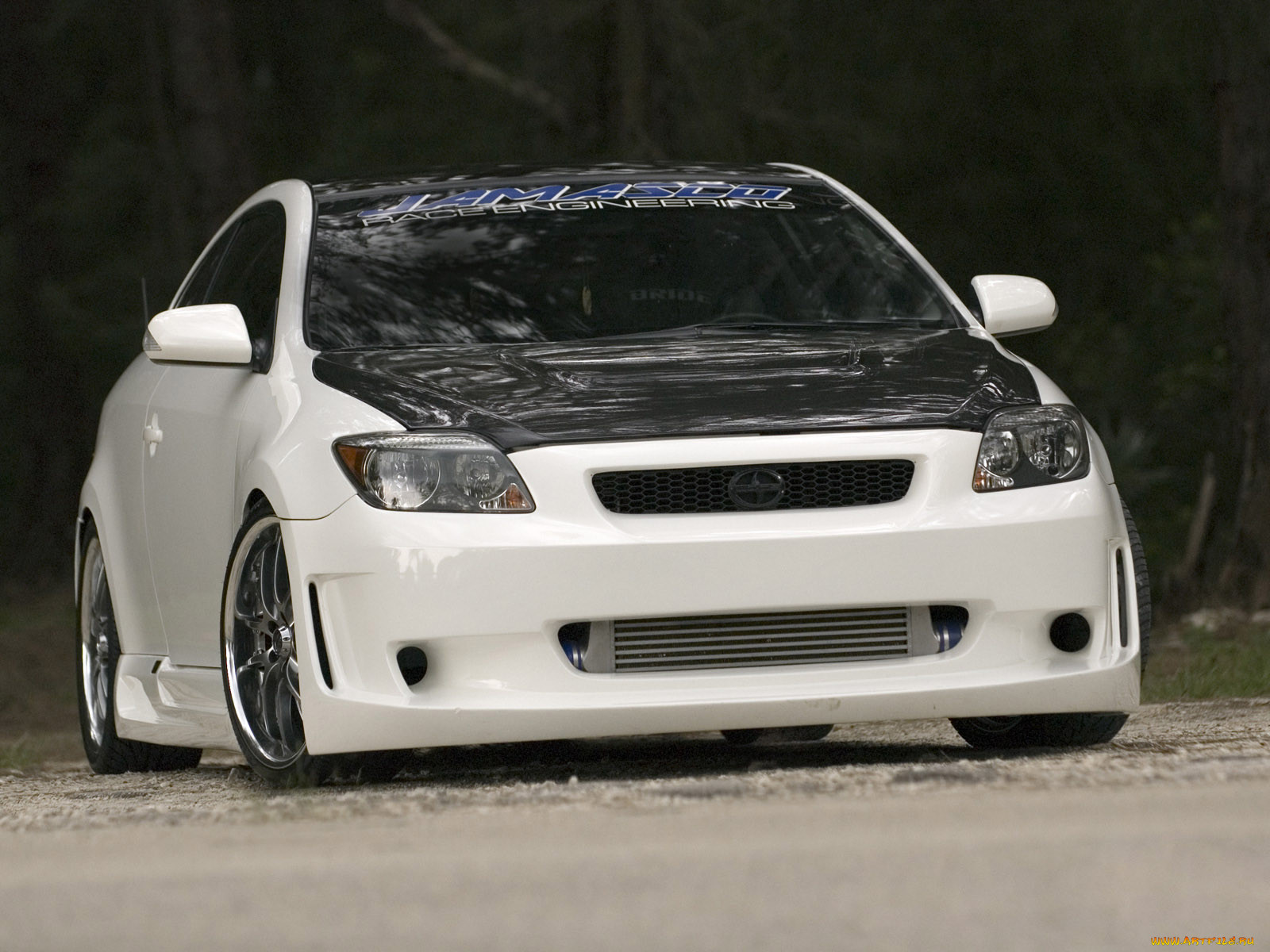 , scion